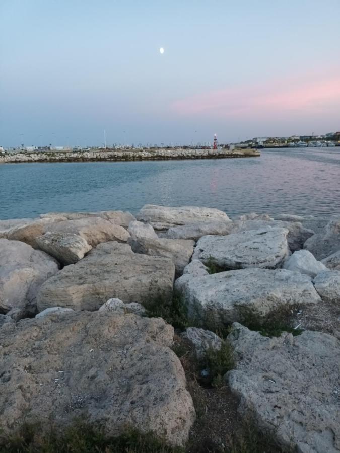 Bouganville A *