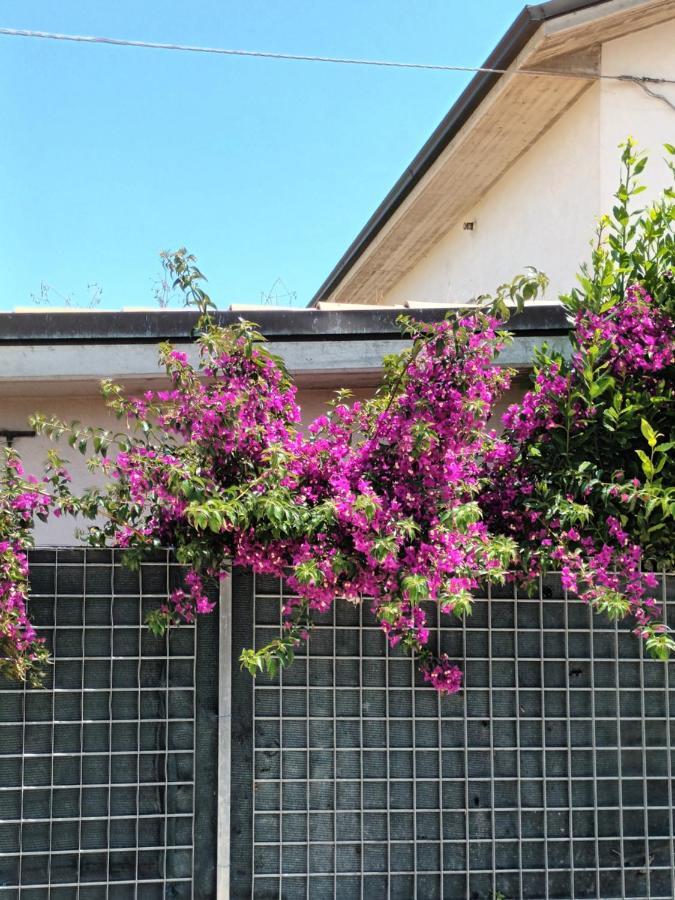 Apartamento Bouganville A